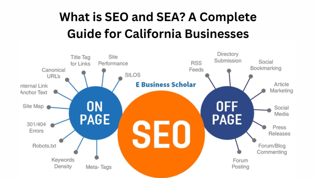  SEO and SEA